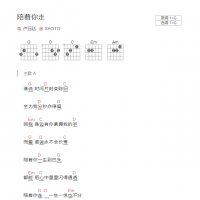 陪着你走吉他谱G调和弦版 卢冠廷