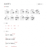 远走高飞吉他谱D调和弦版 林忆莲
