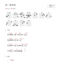 有一种悲伤吉他谱G调和弦版 A-Lin