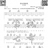 你头顶的风 吉他谱