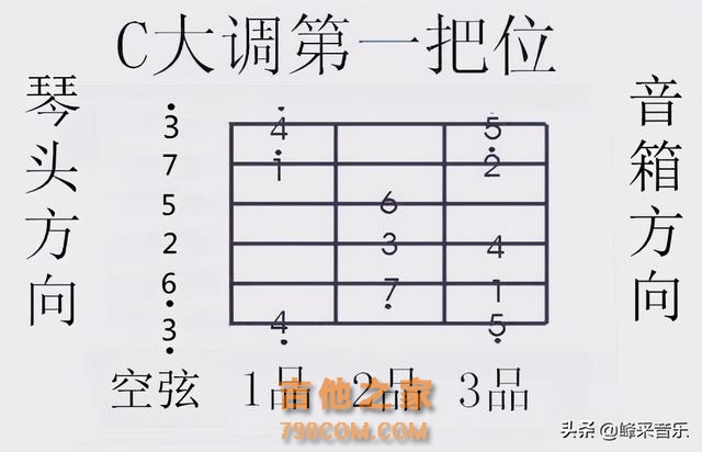 吉他入门之结构、品位及弦的认识