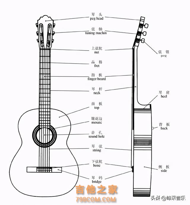 吉他入门之结构、品位及弦的认识