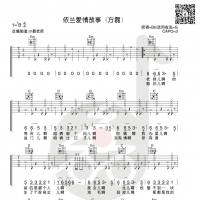 [你好，李焕英]方磊《依兰爱情故事》吉他谱及教学视频 小磊吉他 ...