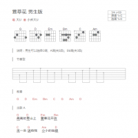 萱草花吉他谱男生版 大U