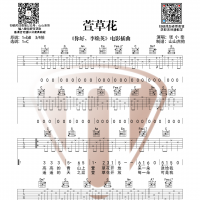 张小斐《萱花草》吉他谱 山山吉他