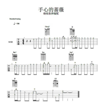 手心的蔷薇吉他SOLO谱 晓锐指弹吉他