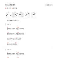 你头顶的风吉他谱C调和弦版 王小帅