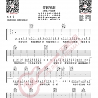 叶琼琳 你的轮廓 吉他谱 无限延音编配