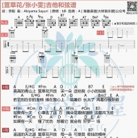 张小斐《萱草花》吉他弹唱谱及教学视频 大树音乐屋