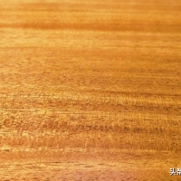 选购吉他必须要了解的知识——木材篇