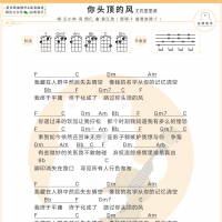 王小帅《你头顶的风》尤克里里弹唱谱 白熊音乐
