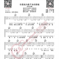 房东的猫 你是我为数不多的骄傲 吉他谱 无限延音编配