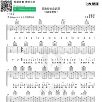 刘若英《原来你也在这里》吉他谱 大茨花
