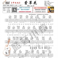 [中级版]张小斐《萱草花》吉他谱 酷音小伟