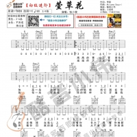 [初级版]张小斐《萱草花》吉他谱 酷音小伟