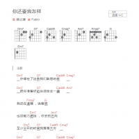 你还要我怎样吉他谱C调和弦版 薛之谦