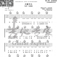 只要平凡 吉他谱