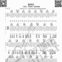 萱草花 吉他谱 第7城市guitar