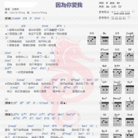 王若琳《因为你爱我》吉他谱分享