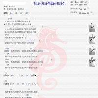 老王乐团《我还年轻》吉他谱