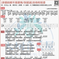 张韶涵《亲爱的，那不是爱情》吉他弹唱教学 大树音乐屋