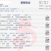 张震岳《爱我别走 》吉他谱分享