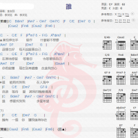 李友廷《谁》吉他谱分享