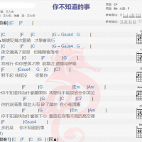 王力宏《你不知道的事》吉他谱分享