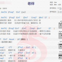 李荣浩《老伴》吉他谱分享