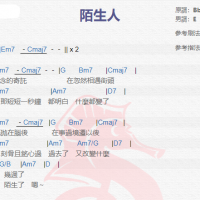 蔡健雅《陌生人》吉他谱分享