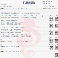 张敬轩《只是太爱你》吉他谱分享