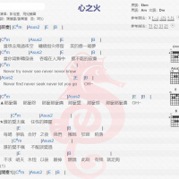 彭佳慧《心之火》吉他谱分享