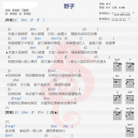 田馥甄《野子》吉他谱分享