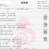 有感觉《金鱼座》吉他谱分享