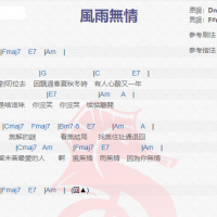 阿轮《风雨无情》吉他谱分享