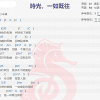 房东的猫《時光，一如既往》吉他谱分享