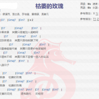 老王乐队《枯萎的玫瑰》吉他谱分享