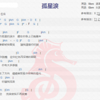 刘德华《孤星泪》吉他谱分享