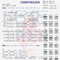 林志颖《在我眼中开出玫瑰》吉他谱分享