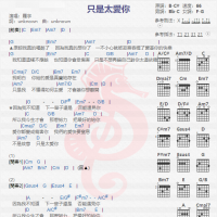 罗宇《只是太爱你》吉他谱分享