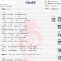 罗大佑《你的样子》吉他谱分享