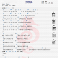 柯有伦《野孩子》吉他谱分享