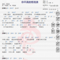 柯智棠《你不真的想流浪》吉他谱分享
