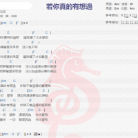 白安《若你真的有想过》吉他谱分享