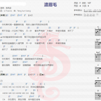 孙燕姿《浓眉毛》吉他谱分享