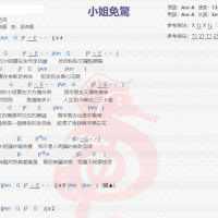 伍佰《小姐免惊》吉他谱分享