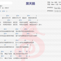 许慧欣《黑天鹅》吉他谱分享