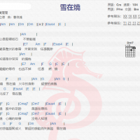 黄莺莺《雪在烧》吉他谱分享