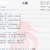 许茹芸《心蚀》吉他谱分享