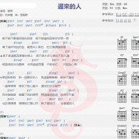 蔡琴《迟来的人》吉他谱分享